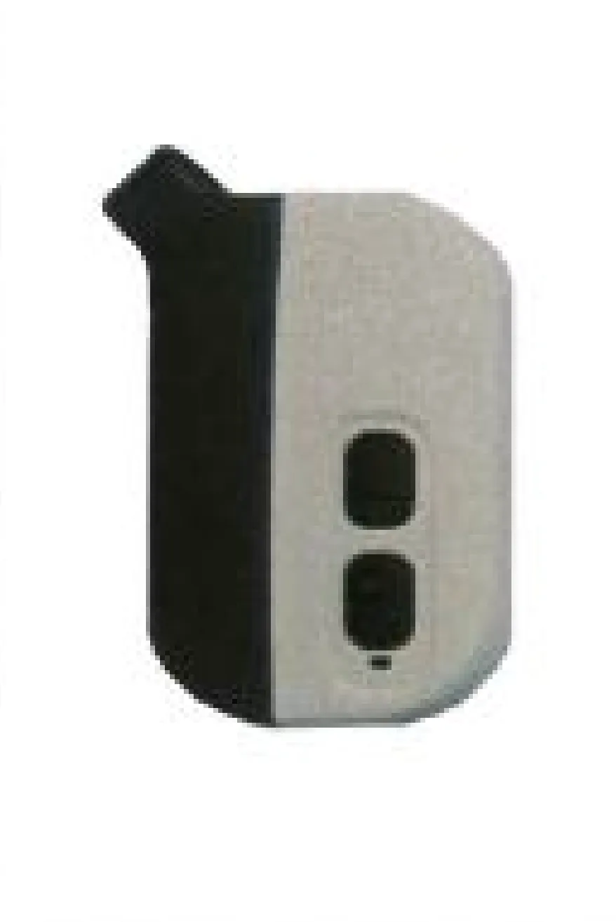 Handsender GOPro Mini, 2-Kanal